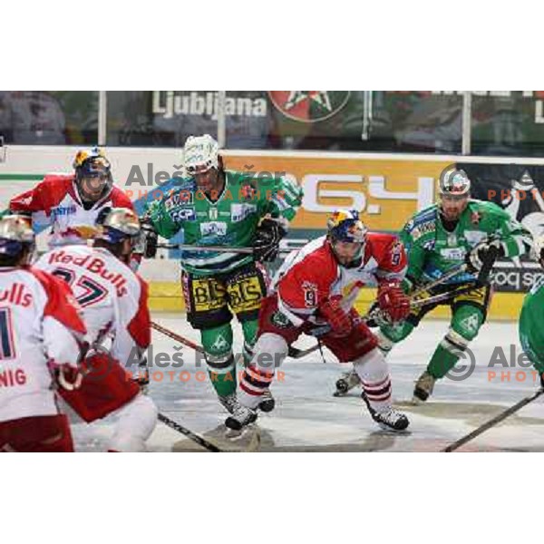 Elik (12) and Koch (9) at sixth game of the Final of EBEL league between ZM Olimpija and Red Bulls Salzburg, played in Ljubljana 25.3.2008. Photo by Ales Fevzer 