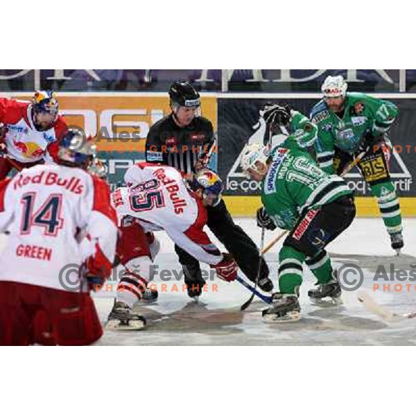 Pinter (85) and Music (16) at sixth game of the Final of EBEL league between ZM Olimpija and Red Bulls Salzburg, played in Ljubljana 25.3.2008. Photo by Ales Fevzer 