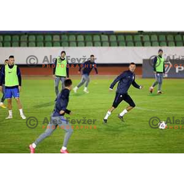 Milivoje Novakovic of Slovenia football team during practice session at ZAK stadium in Ljubljana, Slovenia on November 9, 2020
