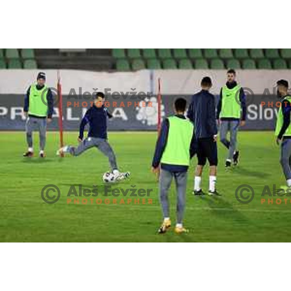 Damjan Bohar of Slovenia football team during practice session at ZAK stadium in Ljubljana, Slovenia on November 9, 2020