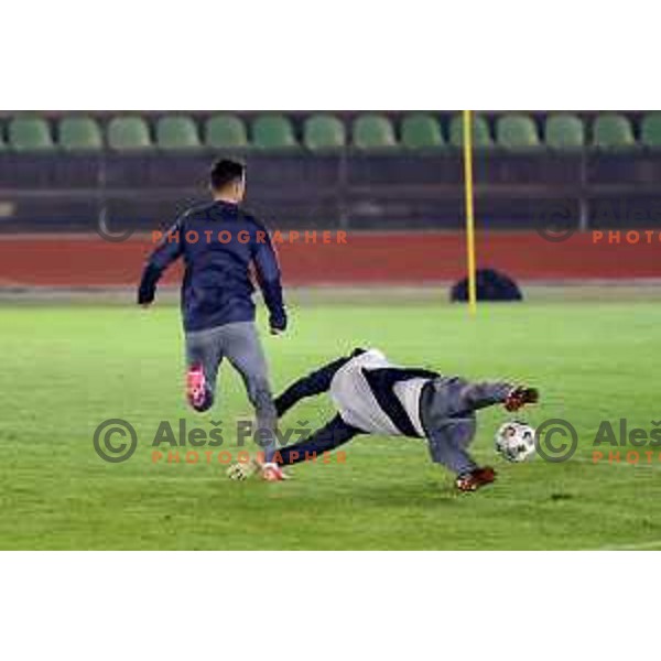 Slovenia football team practice session at ZAK stadium in Ljubljana, Slovenia on November 9, 2020