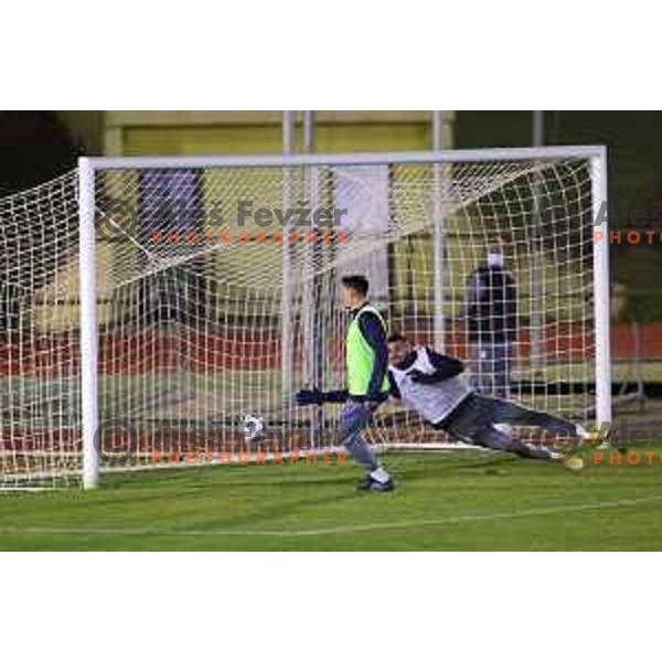 Miha Zajc and MAtjaz Rozman of Slovenia football team during practice session at ZAK stadium in Ljubljana, Slovenia on November 9, 2020