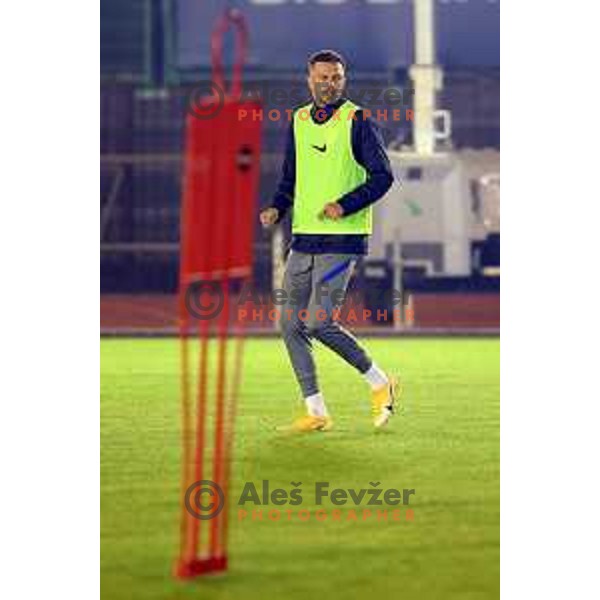 Josip Ilicic of Slovenia football team during practice session at ZAK stadium in Ljubljana, Slovenia on November 9, 2020