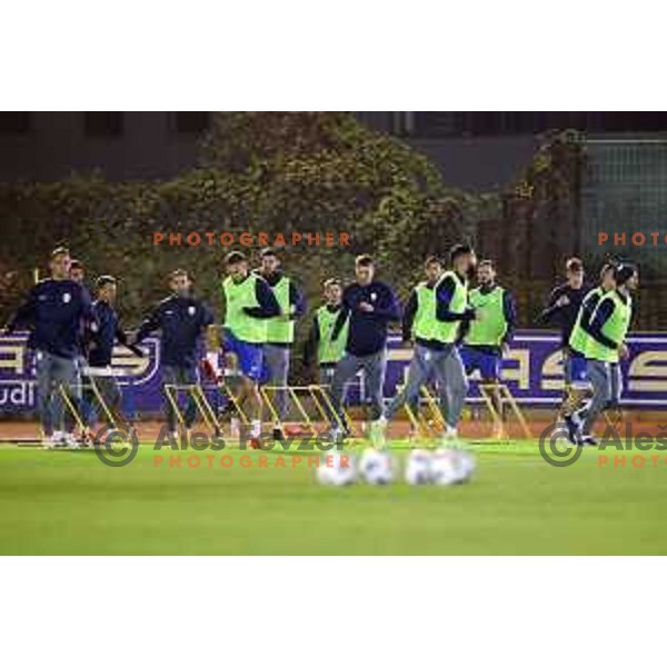 Slovenia football team practice session at ZAK stadium in Ljubljana, Slovenia on November 9, 2020