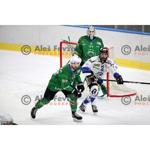 Aleksandar Magovac of SZ Olimpija in action during Alps League ice-hockey match between SZ Olimpija and Weihenstephan in Ljubljana, Slovenia on November 14, 2020