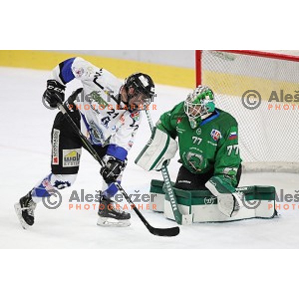 Paavo Holsa of SZ Olimpija in action during Alps League ice-hockey match between SZ Olimpija and Weihenstephan in Ljubljana, Slovenia on November 14, 2020