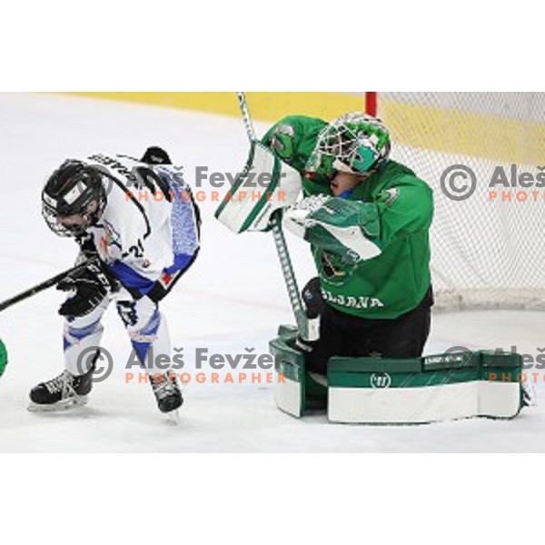 Paavo Holsa of SZ Olimpija in action during Alps League ice-hockey match between SZ Olimpija and Weihenstephan in Ljubljana, Slovenia on November 14, 2020