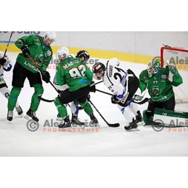 Paavo Holsa of SZ Olimpija in action during Alps League ice-hockey match between SZ Olimpija and Weihenstephan in Ljubljana, Slovenia on November 14, 2020