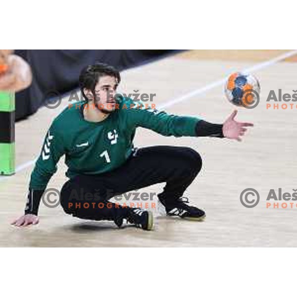 Tilen Grudnik in action during 1.NLB league handball match between MRK Ljubljana and Trimo Trebnje in Kodeljevo Hall, Ljubljana, Slovenia on November 14, 2020