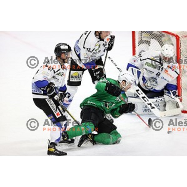 Anej Kujavec of SZ Olimpija in action during Alps League ice-hockey match between SZ Olimpija and Weihenstephan in Ljubljana, Slovenia on November 14, 2020