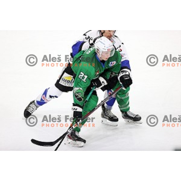 Jan Drozg of SZ Olimpija in action during Alps League ice-hockey match between SZ Olimpija and Weihenstephan in Ljubljana, Slovenia on November 14, 2020