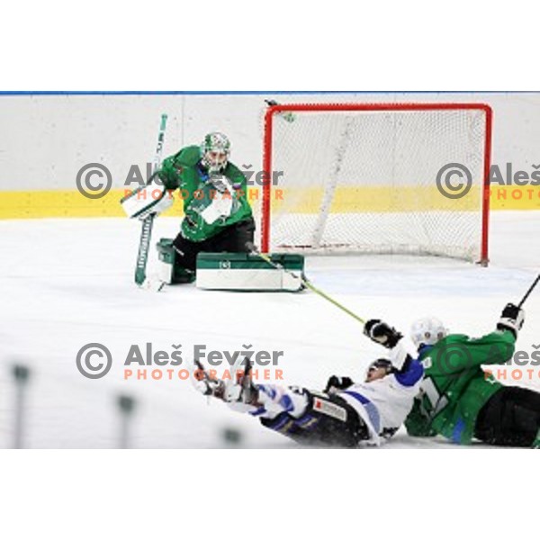 Paavo Holsa of SZ Olimpija in action during Alps League ice-hockey match between SZ Olimpija and Weihenstephan in Ljubljana, Slovenia on November 14, 2020