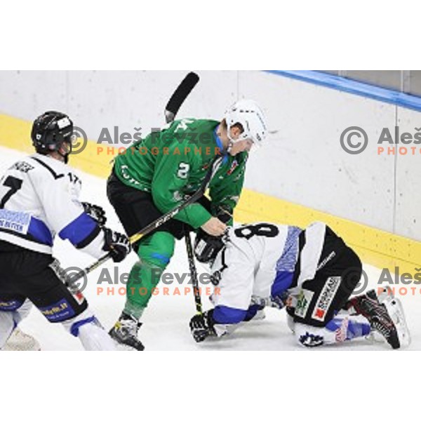 MArk Cepon of SZ Olimpija in action during Alps League ice-hockey match between SZ Olimpija and Weihenstephan in Ljubljana, Slovenia on November 14, 2020