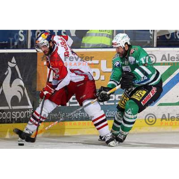 Schwab (5) and Zupancic (17) at sixth game of the Final of EBEL league between ZM Olimpija and Red Bulls Salzburg, played in Ljubljana 25.3.2008. Red Bulls Salzburg won the game 3:2 and series 4:2 and became Champions of EBEL league. Photo by Ales Fevzer 