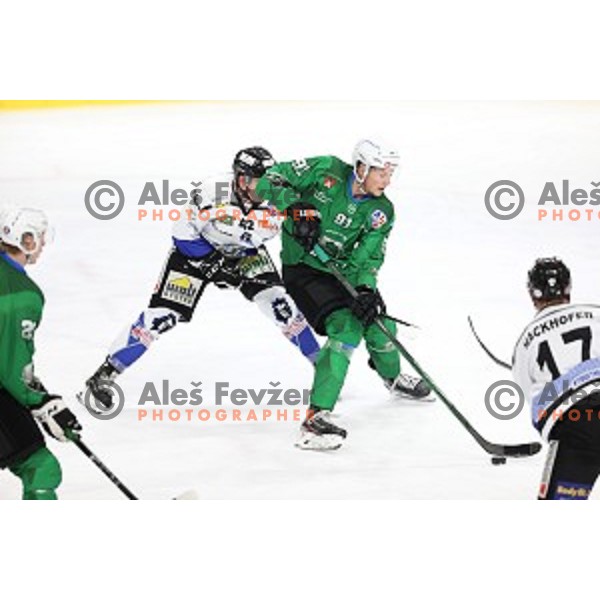 Tadej Cimzar of SZ Olimpija in action during Alps League ice-hockey match between SZ Olimpija and Weihenstephan in Ljubljana, Slovenia on November 14, 2020