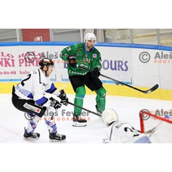 Ziga Pance of SZ Olimpija in action during Alps League ice-hockey match between SZ Olimpija and Weihenstephan in Ljubljana, Slovenia on November 14, 2020