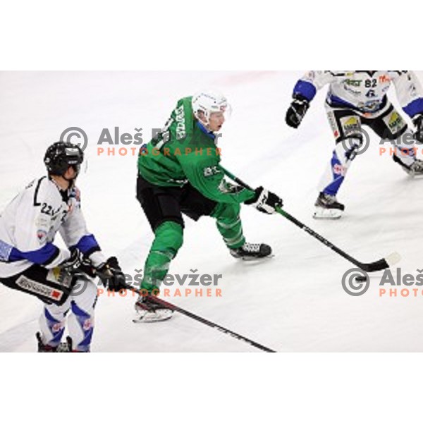 Jan Drozg of SZ Olimpija in action during Alps League ice-hockey match between SZ Olimpija and Weihenstephan in Ljubljana, Slovenia on November 14, 2020
