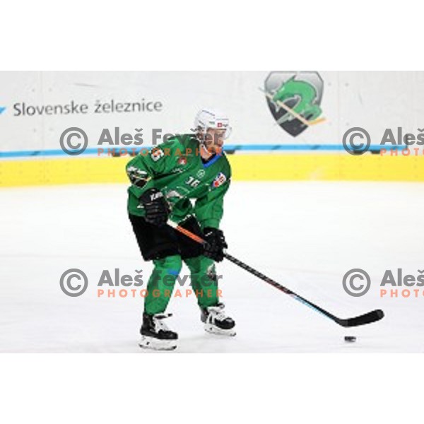 Ales Music of SZ Olimpija in action during Alps League ice-hockey match between SZ Olimpija and Weihenstephan in Ljubljana, Slovenia on November 14, 2020