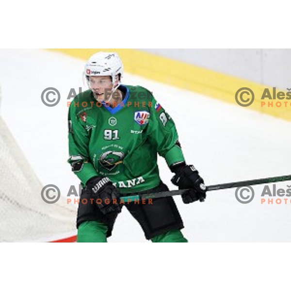 Tadej Cimzar of SZ Olimpija in action during Alps League ice-hockey match between SZ Olimpija and Weihenstephan in Ljubljana, Slovenia on November 14, 2020