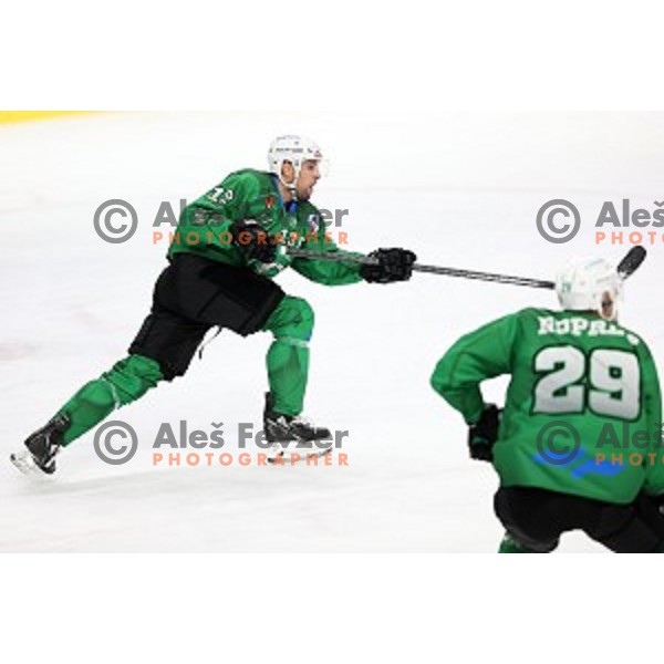 Ziga Pance of SZ Olimpija in action during Alps League ice-hockey match between SZ Olimpija and Weihenstephan in Ljubljana, Slovenia on November 14, 2020