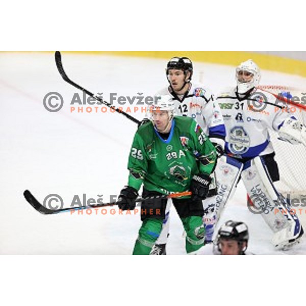 of SZ Olimpija in action during Alps League ice-hockey match between SZ Olimpija and Weihenstephan in Ljubljana, Slovenia on November 14, 2020