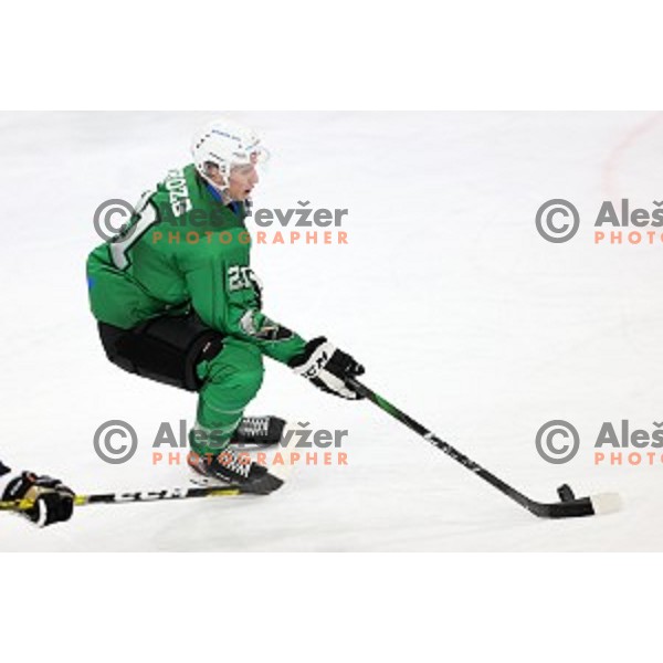 Jan Drozg of SZ Olimpija in action during Alps League ice-hockey match between SZ Olimpija and Weihenstephan in Ljubljana, Slovenia on November 14, 2020