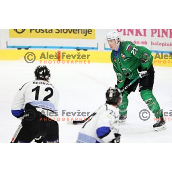 Jan Drozg of SZ Olimpija in action during Alps League ice-hockey match between SZ Olimpija and Weihenstephan in Ljubljana, Slovenia on November 14, 2020
