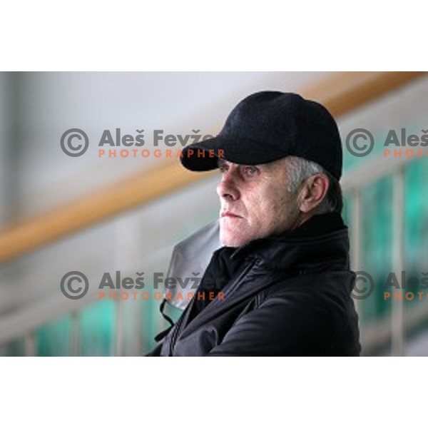 Joze Kovac during Alps League ice-hockey match between SZ Olimpija and Weihenstephan in Ljubljana, Slovenia on November 14, 2020