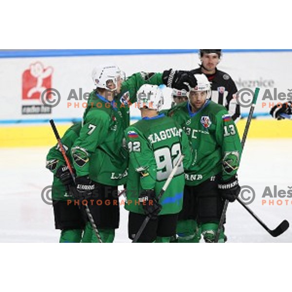 Luka Zorko and Ziga Pance of SZ Olimpija in action during Alps League ice-hockey match between SZ Olimpija and Weihenstephan in Ljubljana, Slovenia on November 14, 2020