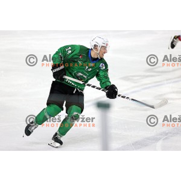 Martin Bohinc of SZ Olimpija in action during Alps League ice-hockey match between SZ Olimpija and Weihenstephan in Ljubljana, Slovenia on November 14, 2020
