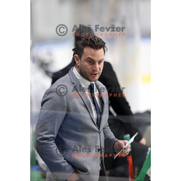 Gregor Poloncic of SZ Olimpija in action during Alps League ice-hockey match between SZ Olimpija and Weihenstephan in Ljubljana, Slovenia on November 14, 2020