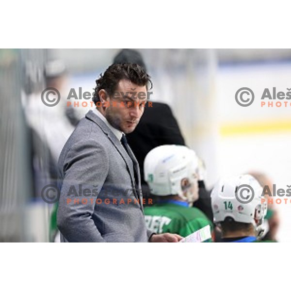 Gregor Poloncic of SZ Olimpija in action during Alps League ice-hockey match between SZ Olimpija and Weihenstephan in Ljubljana, Slovenia on November 14, 2020