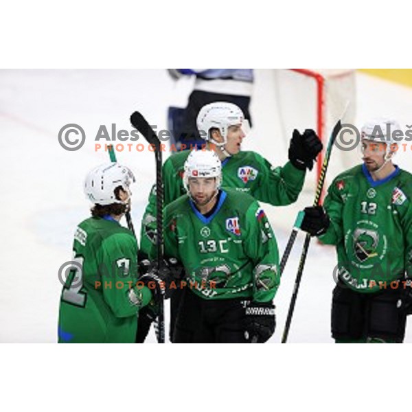 Ziga Pance of SZ Olimpija in action during Alps League ice-hockey match between SZ Olimpija and Weihenstephan in Ljubljana, Slovenia on November 14, 2020