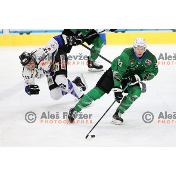 Jan Drozg of SZ Olimpija in action during Alps League ice-hockey match between SZ Olimpija and Weihenstephan in Ljubljana, Slovenia on November 14, 2020
