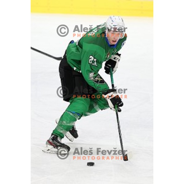 Jan Drozg of SZ Olimpija in action during Alps League ice-hockey match between SZ Olimpija and Weihenstephan in Ljubljana, Slovenia on November 14, 2020
