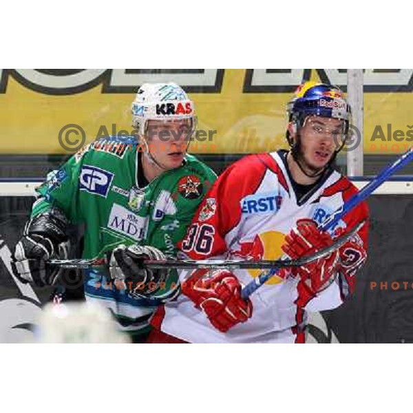 Music and Pewal (36) at sixth game of the Final of EBEL league between ZM Olimpija and Red Bulls Salzburg, played in Ljubljana 25.3.2008. Red Bulls Salzburg won the game 3:2 and series 4:2 and became Champions of EBEL league. Photo by Ales Fevzer 