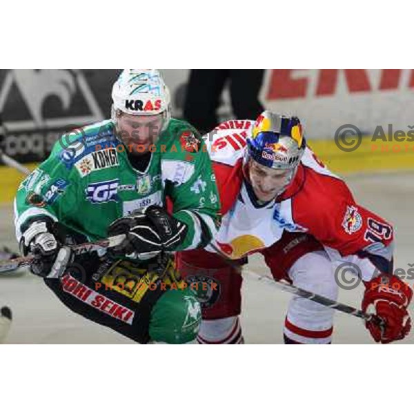 Hocevar (41) and Tarvainen (19) at sixth game of the Final of EBEL league between ZM Olimpija and Red Bulls Salzburg, played in Ljubljana 25.3.2008. Red Bulls Salzburg won the game 3:2 and series 4:2 and became Champions of EBEL league. Photo by Ales Fevz