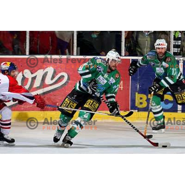 McCarthy at sixth game of the Final of EBEL league between ZM Olimpija and Red Bulls Salzburg, played in Ljubljana 25.3.2008. Red Bulls Salzburg won the game 3:2 and series 4:2 and became Champions of EBEL league. Photo by Ales Fevzer 
