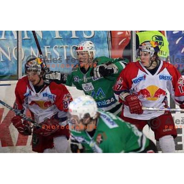 Music at sixth game of the Final of EBEL league between ZM Olimpija and Red Bulls Salzburg, played in Ljubljana 25.3.2008. Red Bulls Salzburg won the game 3:2 and series 4:2 and became Champions of EBEL league. Photo by Ales Fevzer 