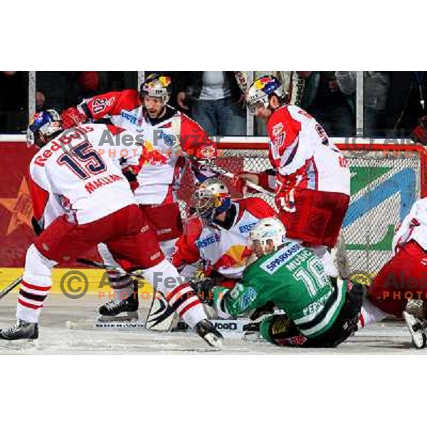 Maclean (15), Welser (20), Divis (50), Music (16) and royer (27) at sixth game of the Final of EBEL league between ZM Olimpija and Red Bulls Salzburg, played in Ljubljana 25.3.2008. Red Bulls Salzburg won the game 3:2 and series 4:2 and became Champions o
