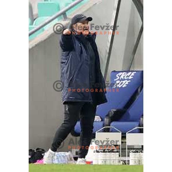 Matjaz Kek, head coach of Slovenia during UEFA Nations League 2021 football match between Slovenia and Kosovo in SRC Stozice, Ljubljana on November 15, 2020