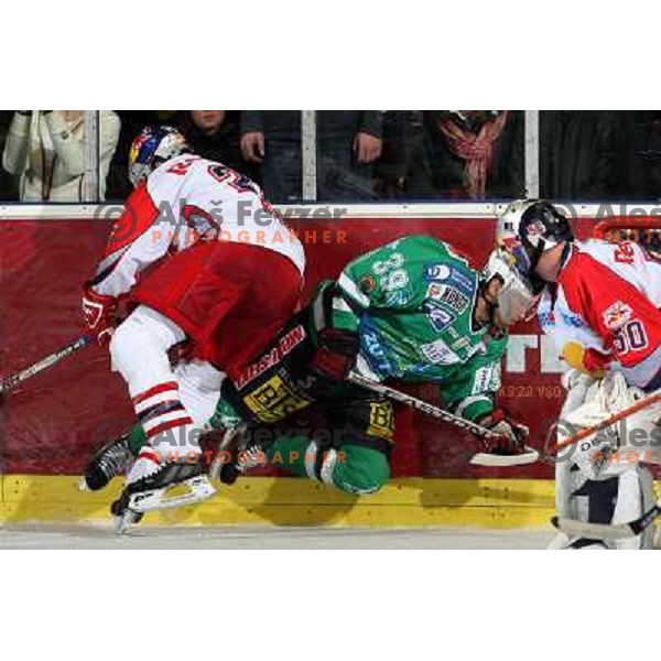 Royer sacks Felsner and gets 2 minutes penalty at sixth game of the Final of EBEL league between ZM Olimpija and Red Bulls Salzburg, played in Ljubljana 25.3.2008. Red Bulls Salzburg won the game 3:2 and series 4:2 and became Champions of EBEL league. Pho