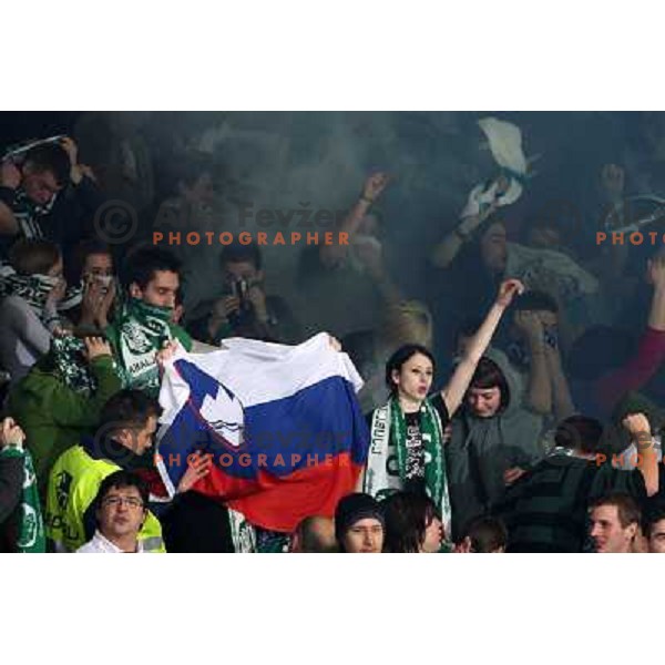 Green dragons at sixth game of the Final of EBEL league between ZM Olimpija and Red Bulls Salzburg, played in Ljubljana 25.3.2008. Red Bulls Salzburg won the game 3:2 and series 4:2 and became Champions of EBEL league. Photo by Ales Fevzer 