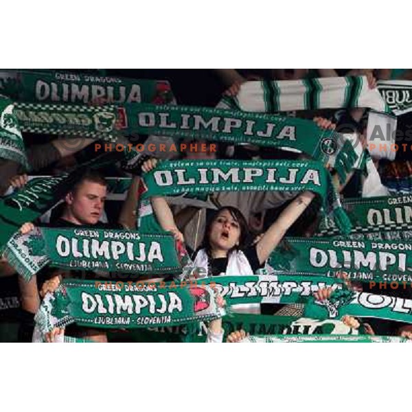 Green dragons at sixth game of the Final of EBEL league between ZM Olimpija and Red Bulls Salzburg, played in Ljubljana 25.3.2008. Red Bulls Salzburg won the game 3:2 and series 4:2 and became Champions of EBEL league. Photo by Ales Fevzer 