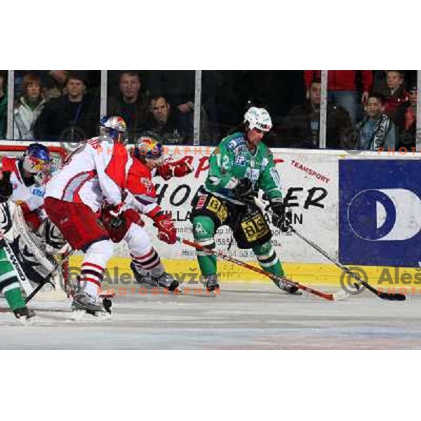 Lynch (7) and Elik (12) at sixth game of the Final of EBEL league between ZM Olimpija and Red Bulls Salzburg, played in Ljubljana 25.3.2008. Red Bulls Salzburg won the game 3:2 and series 4:2 and became Champions of EBEL league. Photo by Ales Fevzer 
