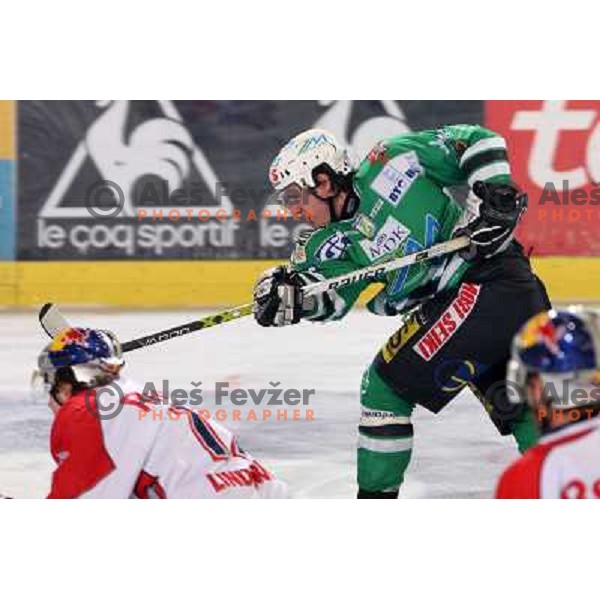 Jaka Avgustincic at sixth game of the Final of EBEL league between ZM Olimpija and Red Bulls Salzburg, played in Ljubljana 25.3.2008. Red Bulls Salzburg won the game 3:2 and series 4:2 and became Champions of EBEL league. Photo by Ales Fevzer 