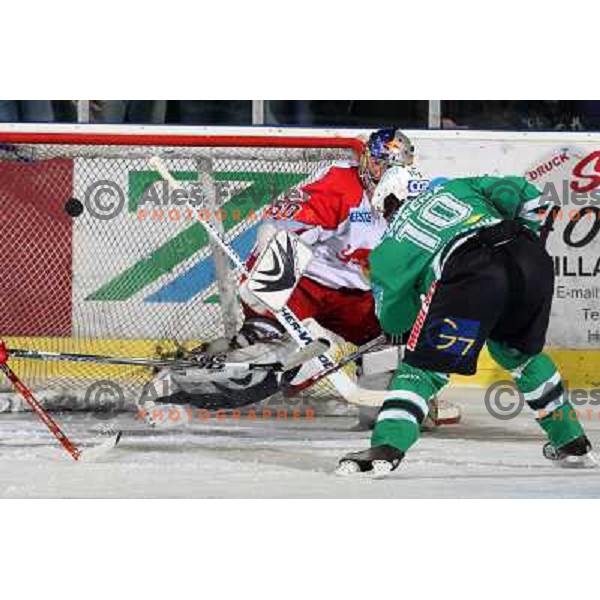 Yarema and Divis at sixth game of the Final of EBEL league between ZM Olimpija and Red Bulls Salzburg, played in Ljubljana 25.3.2008. Red Bulls Salzburg won the game 3:2 and series 4:2 and became Champions of EBEL league. Photo by Ales Fevzer 