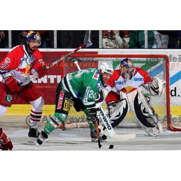 Ulrich (47), Vnuk and Divis at sixth game of the Final of EBEL league between ZM Olimpija and Red Bulls Salzburg, played in Ljubljana 25.3.2008. Red Bulls Salzburg won the game 3:2 and series 4:2 and became Champions of EBEL league. Photo by Ales Fevzer 