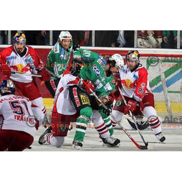 Yarema at sixth game of the Final of EBEL league between ZM Olimpija and Red Bulls Salzburg, played in Ljubljana 25.3.2008. Red Bulls Salzburg won the game 3:2 and series 4:2 and became Champions of EBEL league. Photo by Ales Fevzer 