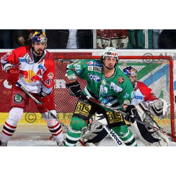 Ulrich (47) , Yarema (10) and Divis at sixth game of the Final of EBEL league between ZM Olimpija and Red Bulls Salzburg, played in Ljubljana 25.3.2008. Red Bulls Salzburg won the game 3:2 and series 4:2 and became Champions of EBEL league. Photo by Ales 
